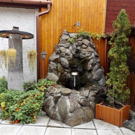 Tulipan Panzio Bed and Breakfast Sfântu-Gheorghe Buitenkant foto