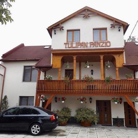 Tulipan Panzio Bed and Breakfast Sfântu-Gheorghe Buitenkant foto
