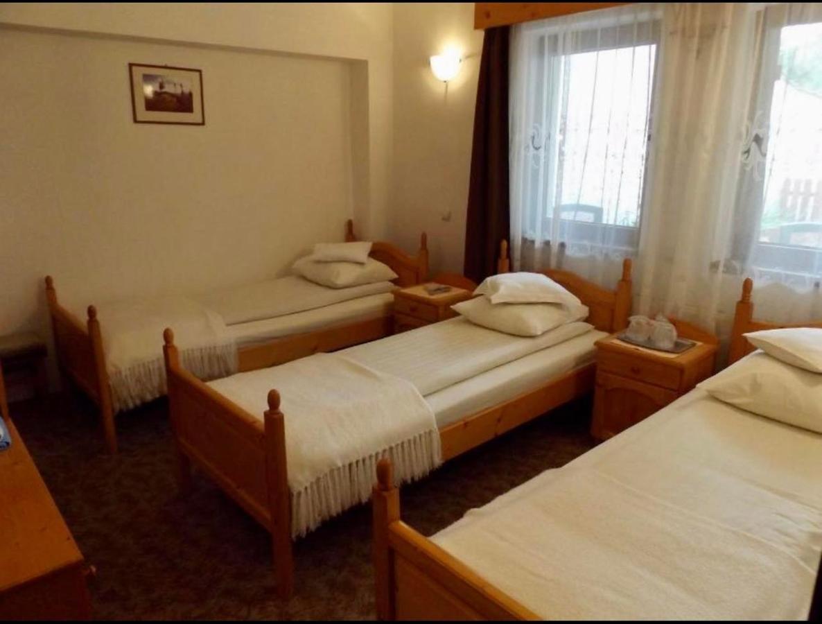 Tulipan Panzio Bed and Breakfast Sfântu-Gheorghe Buitenkant foto