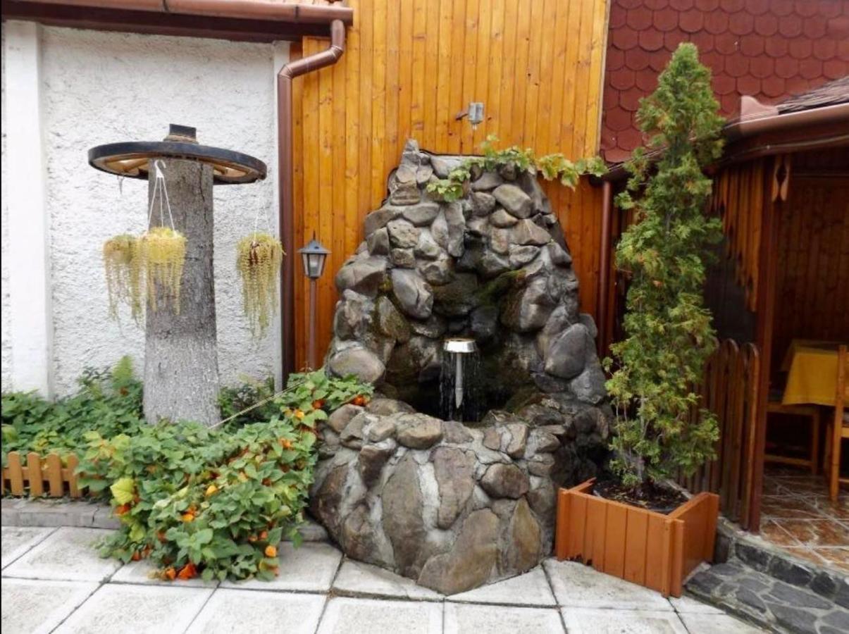Tulipan Panzio Bed and Breakfast Sfântu-Gheorghe Buitenkant foto